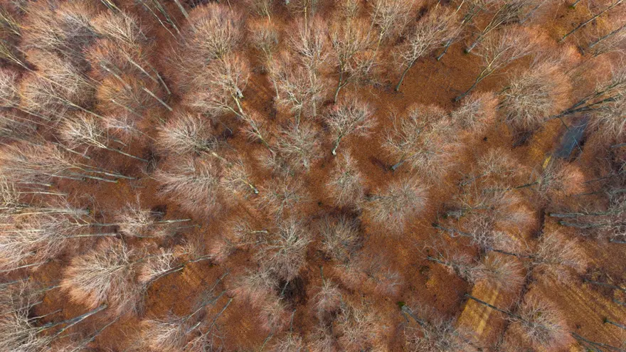 Herkes "sanayi şehri" olarak biliyor. İstanbul, Ankara, Bursa'dan doğası için geliyorlar 1 Herkes "sanayi şehri" olarak biliyor. İstanbul, Ankara, Bursa'dan doğası için geliyorlar 1