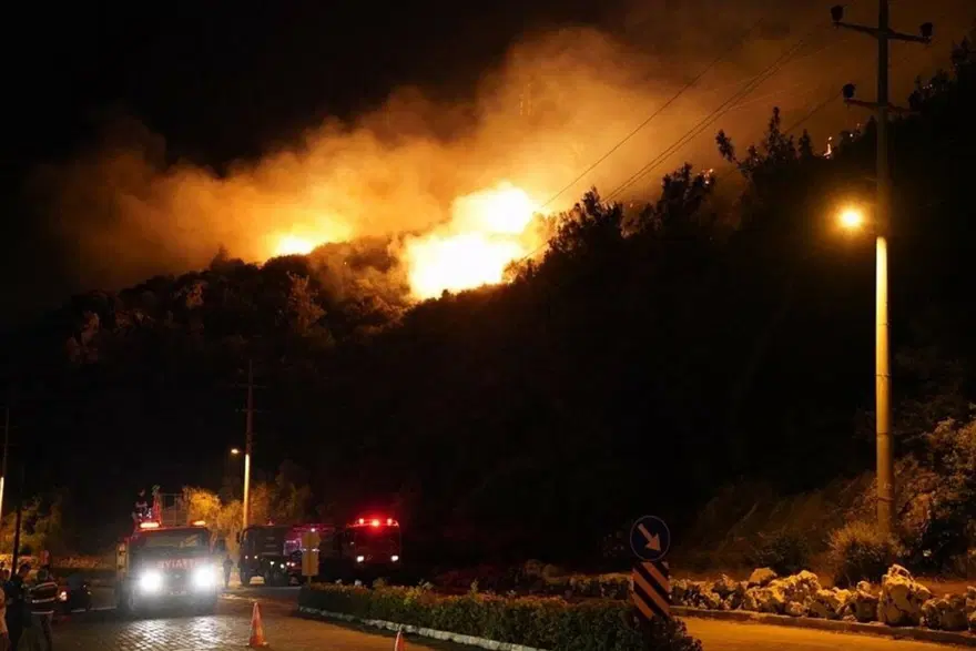 9 hektar ormanı yakan sigara izmaritini atan kişi tutuklandı 4