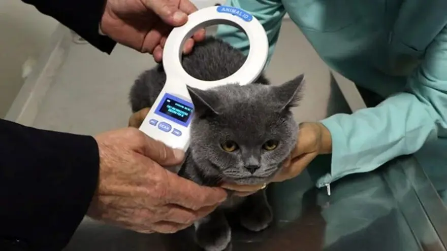 6. SORU: Bugüne kadar kayıt altına alınan ev hayvanı sayısı nedir? 5 6. SORU: Bugüne kadar kayıt altına alınan ev hayvanı sayısı nedir? 5