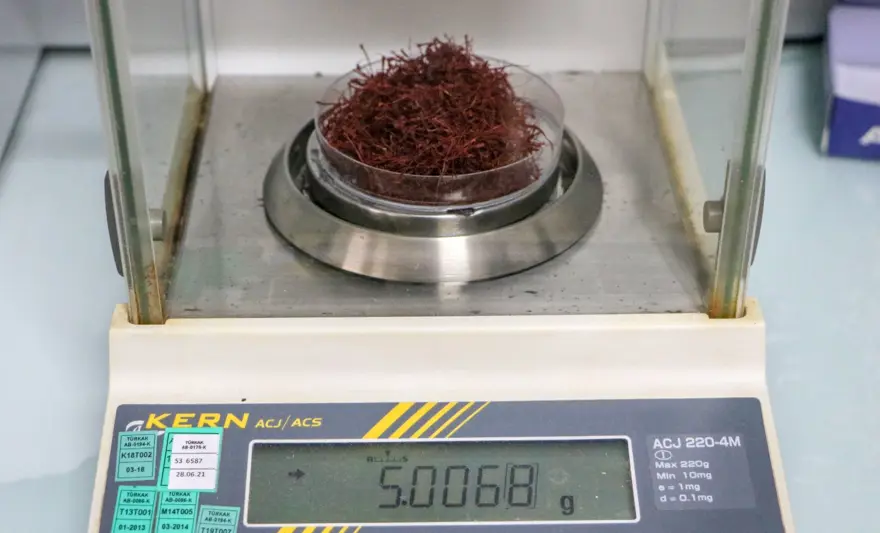 Kilosu 50 bin lirayı bulan safranı, at kılıyla taklit ediyorlar 6