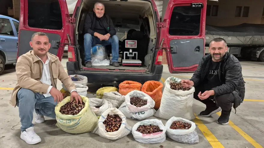 Toplaması çok zahmetli, kilosu 400 lirayı buluyor: Tescilli lezzet pazara indi 5 Toplaması çok zahmetli, kilosu 400 lirayı buluyor: Tescilli lezzet pazara indi 5
