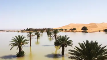 50 yıldır böylesi görülmedi: Sahra Çölü'nde sel