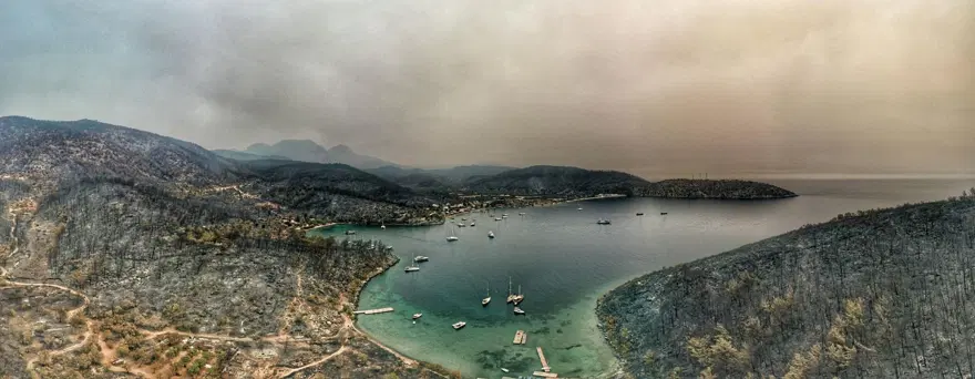 Bodrum ve Milas'ta yanan alanlar havadan görüntülendi 36 Bodrum ve Milas'ta yanan alanlar havadan görüntülendi 36