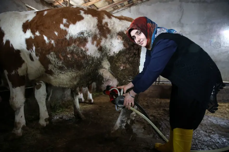 250 bin lira hibe desteğiyle 2 yılda 6'ya katladı: Üretip tüm ilçeye satıyorlar 3