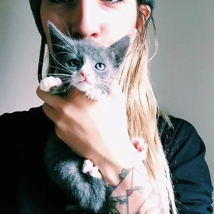 Hayatını kedileri kurtarmaya adadı 244