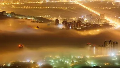 Işık kirliliği böcekleri yok ediyor