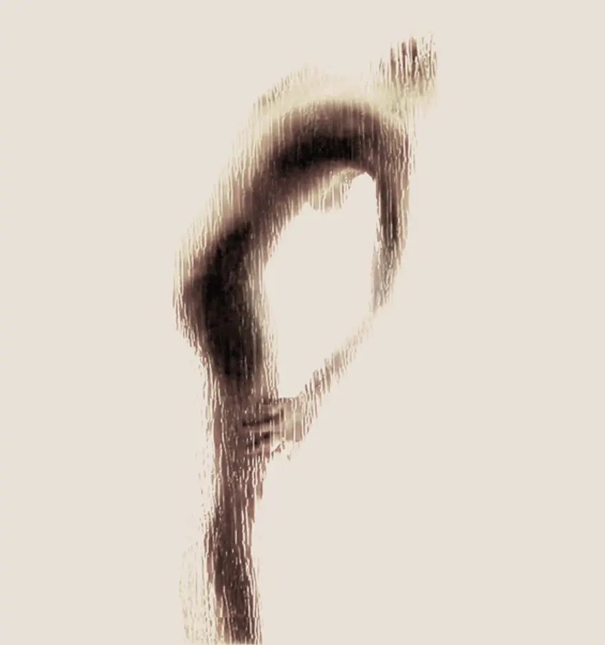 D 3