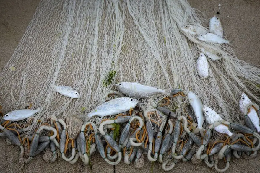 Afetlerin sayısında artış: İki il için acil eylem planı hazırlandı 4 Afetlerin sayısında artış: İki il için acil eylem planı hazırlandı 4