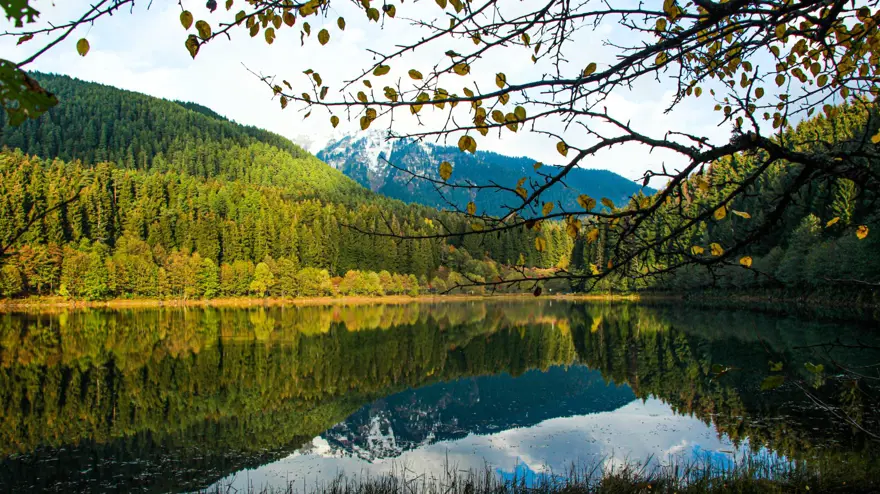 'Sakin Şehir' Şavşat'ta sonbahar güzelliği 2