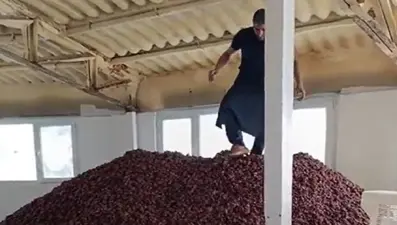 Kayısı deposunda tepki çeken görüntülere 10 bin lira ceza