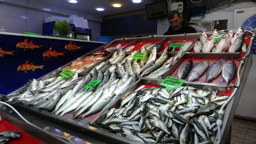 Denizlerin prensi 900 lira: Tezgaha indi, bu sene bol 5 Denizlerin prensi 900 lira: Tezgaha indi, bu sene bol 5