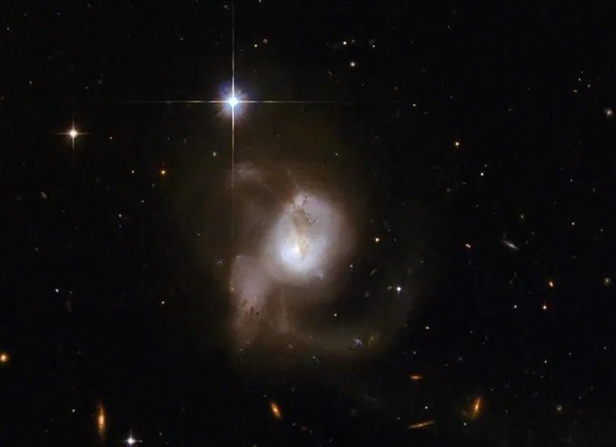NASA'dan 'Kelebek Nebula' paylaşımı 31