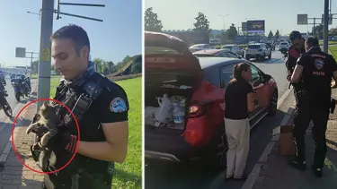 Trafikte yavru kedi alarmı