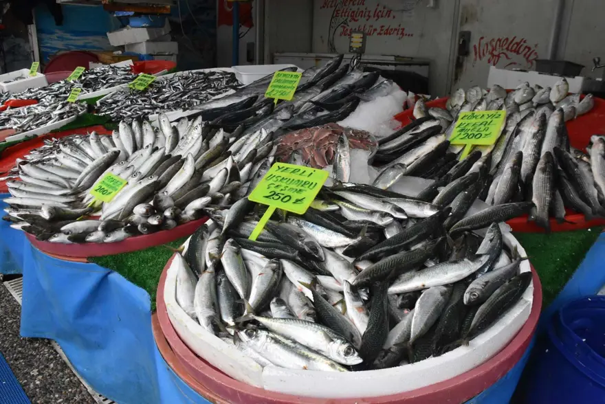 "BALIKÇILARIN EN BÜYÜK ŞANSI İHRACAT" 5 "BALIKÇILARIN EN BÜYÜK ŞANSI İHRACAT" 5