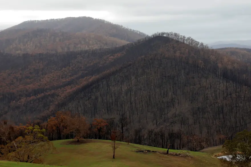 Avustralya'daki yangınlar 240 gün sonra söndü 3 Avustralya'daki yangınlar 240 gün sonra söndü 3
