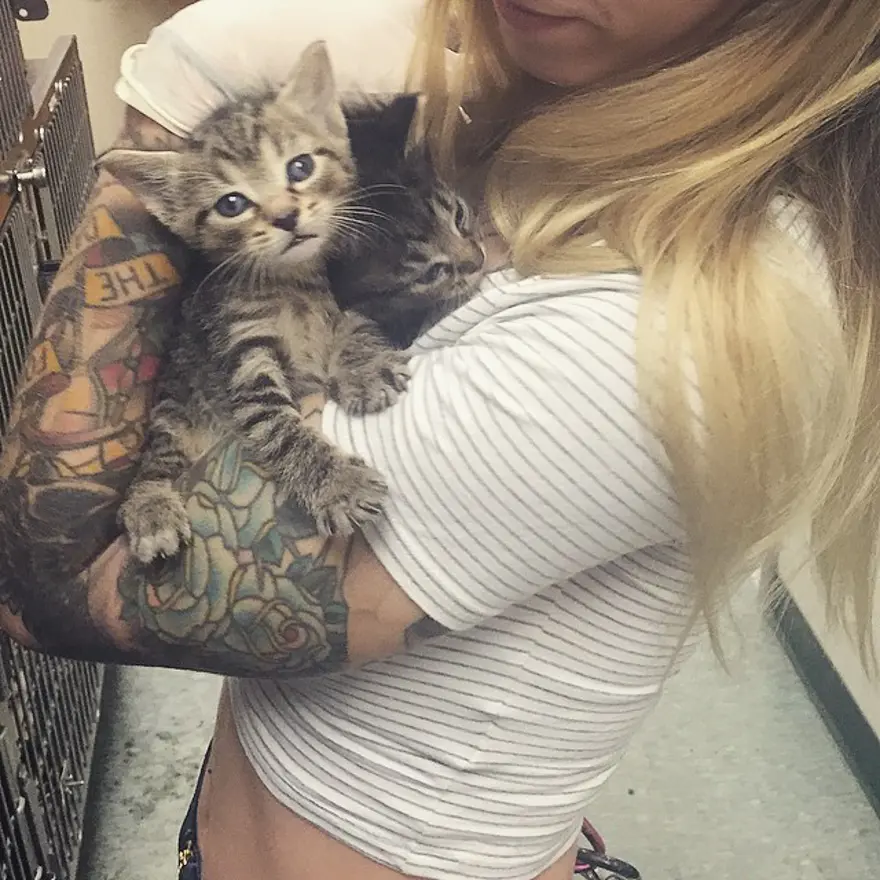 Hayatını kedileri kurtarmaya adadı 201