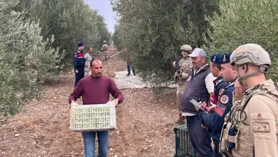 Zeytinliklerde komando nöbeti