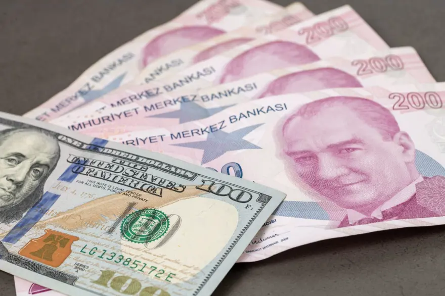 GRİ LİSTE NEDİR? 4