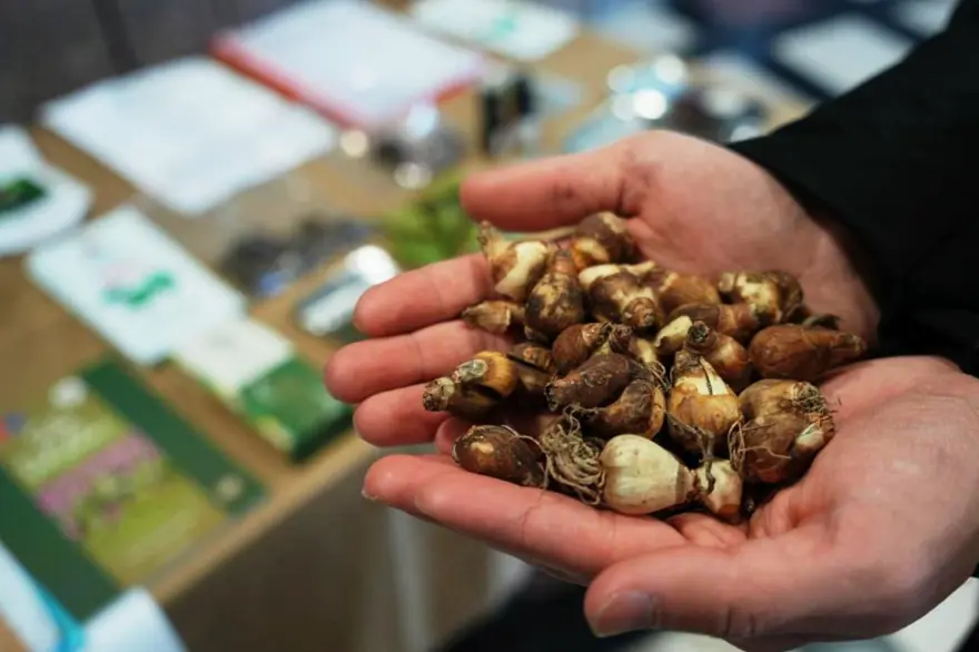 1,2 milyon TL gelir elde edildi: Üretimi sürüyor 2 1,2 milyon TL gelir elde edildi: Üretimi sürüyor 2