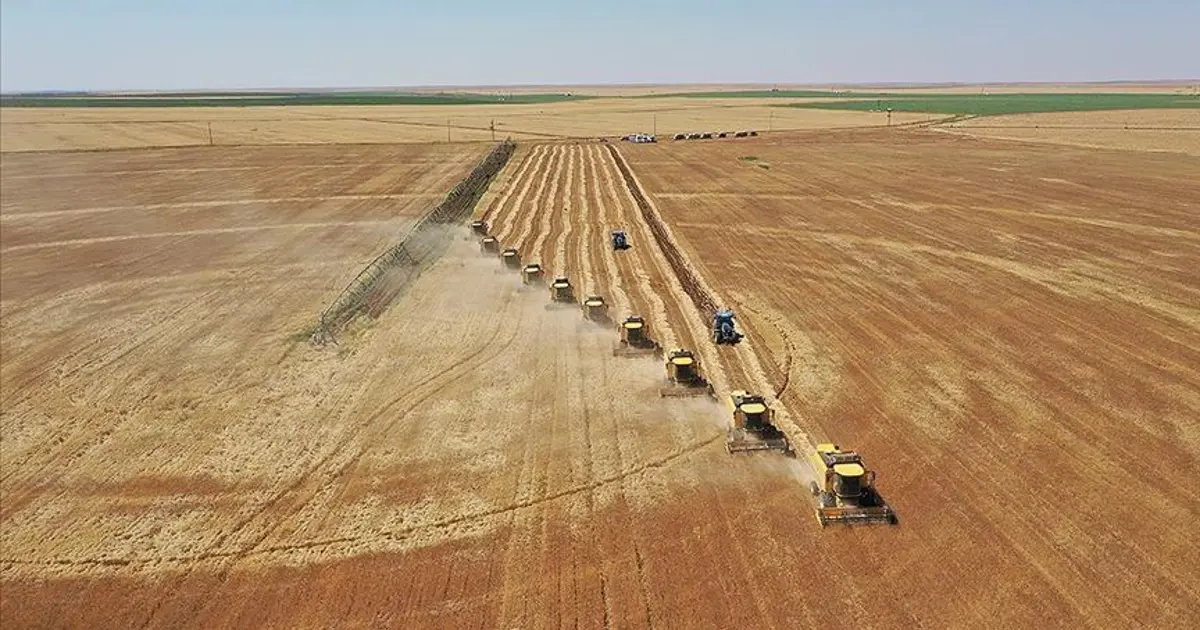 Böcek ilaçlarının satışında yeni düzenleme. Reçetesiz ve internetten satışı yasaklandı