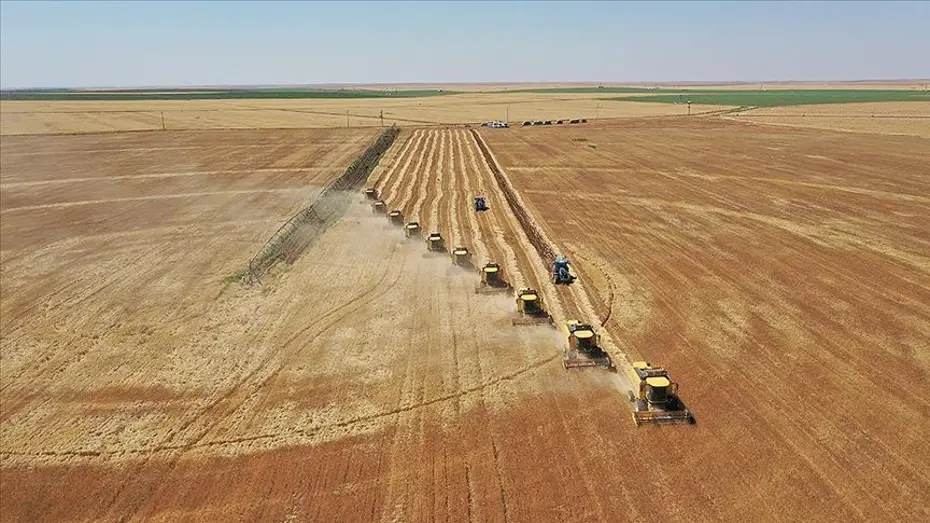 Böcek ilaçlarının satışında yeni düzenleme. Reçetesiz ve internetten satışı yasaklandı 