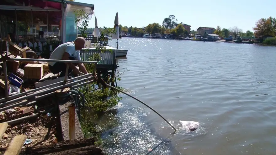 Denizden çuvallarca ölü tavuk topladılar 5 Denizden çuvallarca ölü tavuk topladılar 5