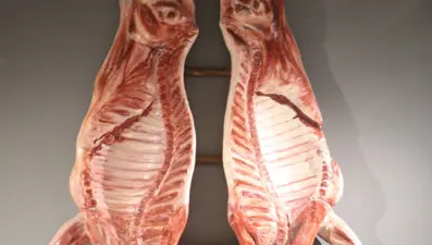 Türkiye'nin tek Sucuk Müzesi'ne ziyaretçi yağdı