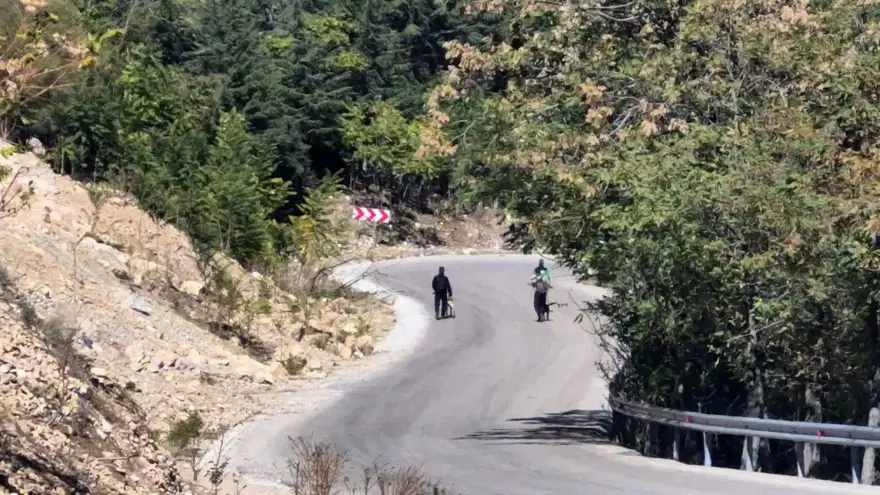 Doğa yürüyüşünde kayboldu 2 Doğa yürüyüşünde kayboldu 2