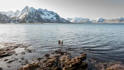 Rusya imzayı attı, Barents Denizi'nde anlaşma bitti