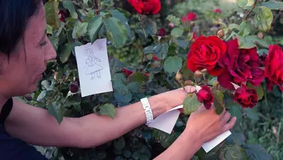 Hıdırellez ne zaman, nasıl kutlanır? Hıdırellez Bayramı'nda neler yapılır? İşte Hıdırellez günü yapılacak