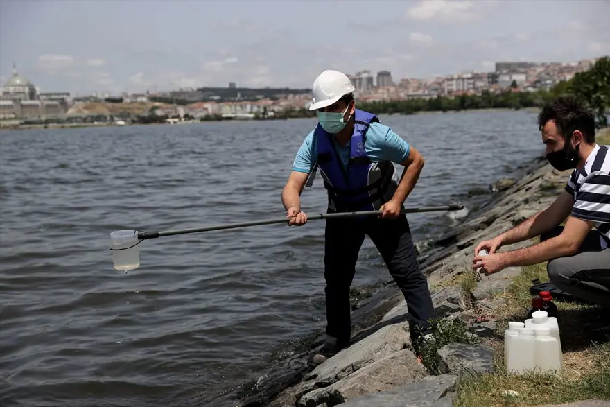 Küçükçekmece Gölü'nde balık ölümleri giderek artıyor 4