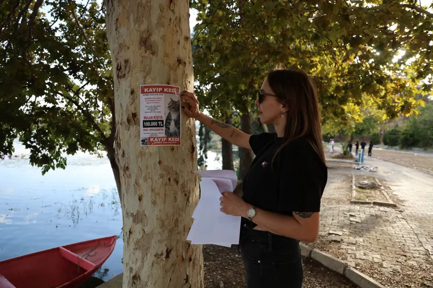 Kedisi kayboldu, bulana 100 bin lira ödül verecek: "3 gündür ağlamaktan uyuyamıyorum" 1