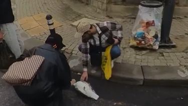 Önce direğe, sonra otobüse çarptı: Martı kalp masajıyla hayata döndü