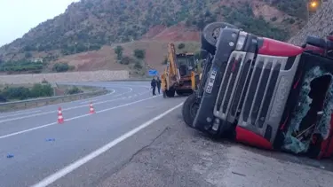 TIR kazasında 100 koyun öldü