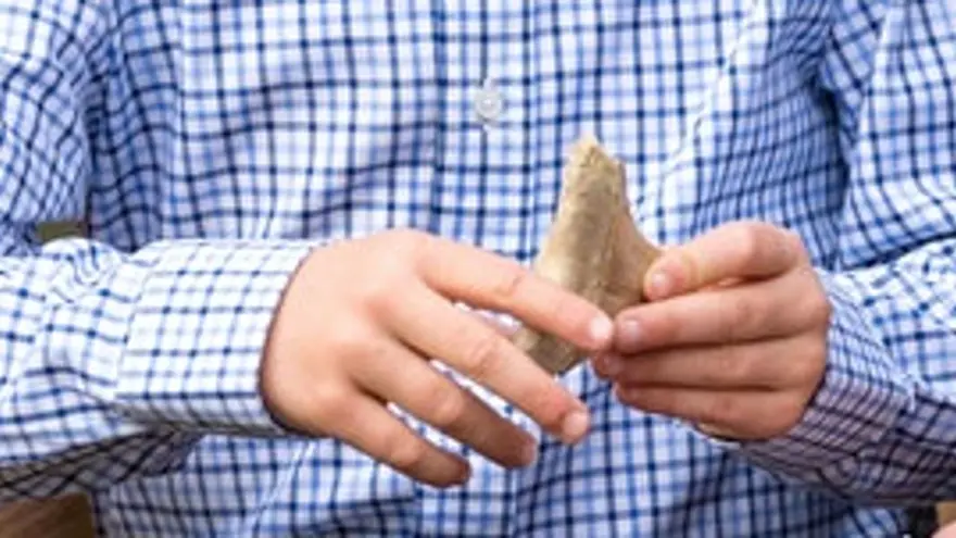 Malta Hükümeti, Prens George’a hediye edilen köpek balığı dişini geriistiyor 2