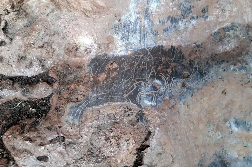 Mersin'deki mağarada 8 bin yıllık kaya resimleri bulundu 4