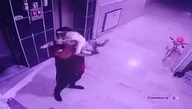 Hamile kediyi yere fırlattı!