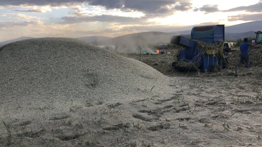 HAYVANLARA YEM OLACAK 3