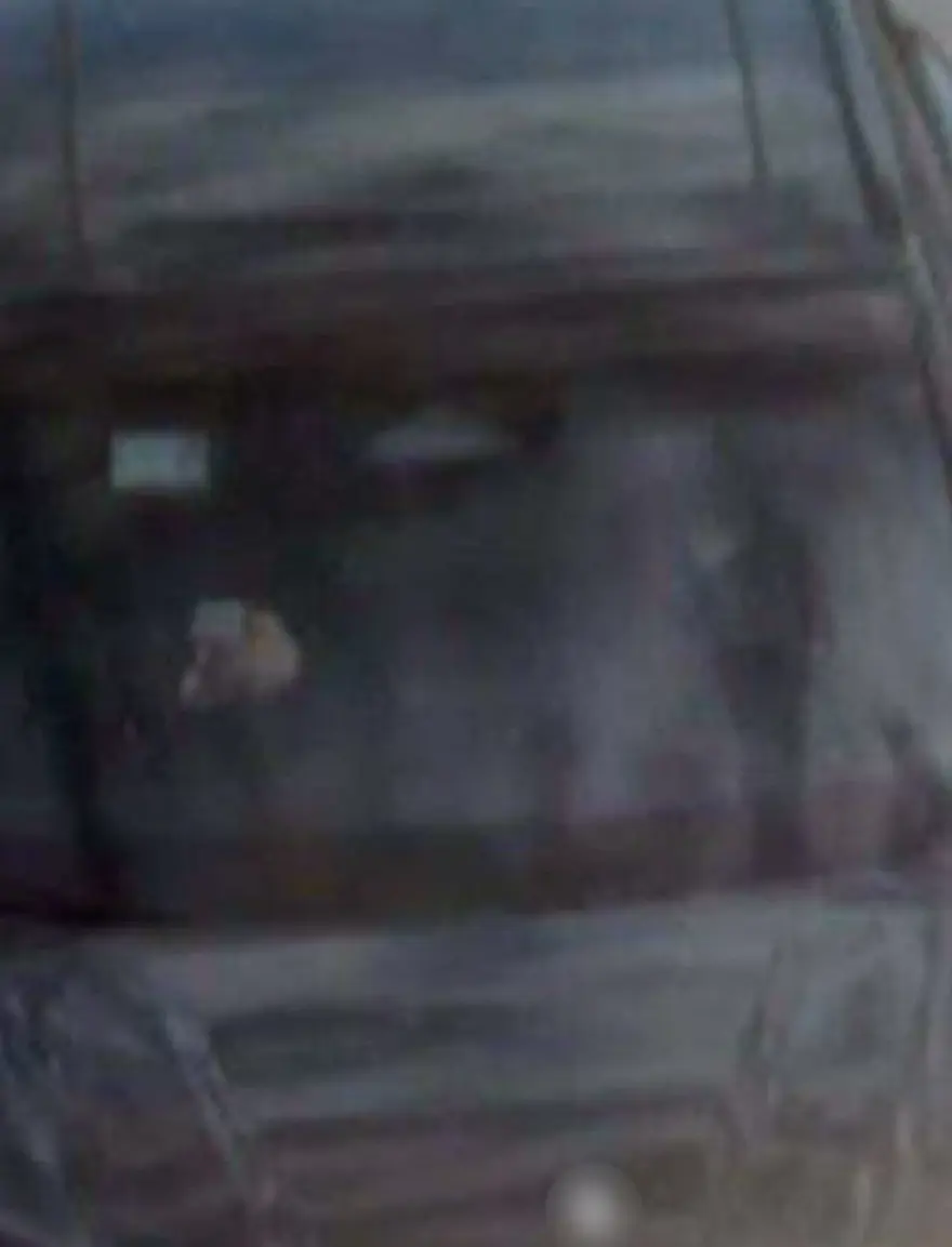 SALDIRGANLARIN ARACI KAMERADA 8