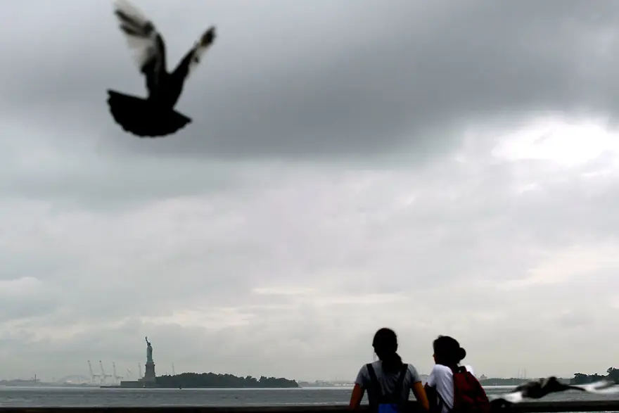 New York yara sarıyor 233 New York yara sarıyor 233
