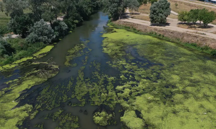 Tunca Nehri’nde debi düştü, çöpler ortaya çıktı 4 Tunca Nehri’nde debi düştü, çöpler ortaya çıktı 4
