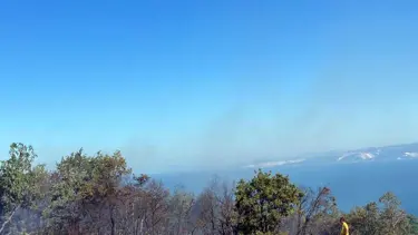 Piknik yaparken orman yangınına neden olan 3 kişi tutuklandı