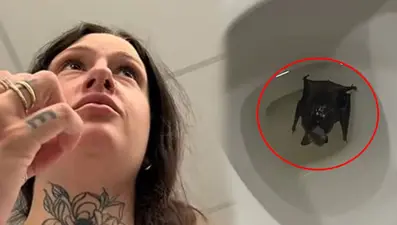 Klozet kapağını kaldırdı, hayatının şokunu yaşadı: Hemen hastaneye kaldırıldı