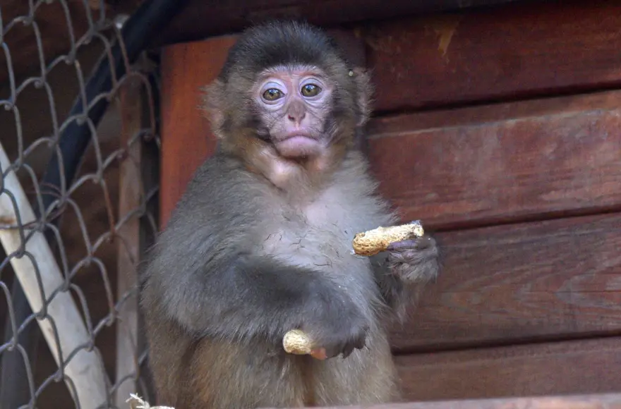 SAĞLIĞI SIKI TAKİPTE 2