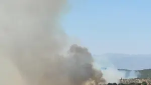 Uşak’ta meşelik alanda yangın çıktı