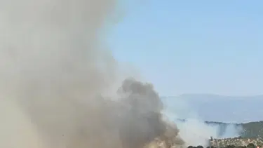 Uşak’ta meşelik alanda yangın çıktı