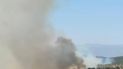 Uşak’ta meşelik alanda yangın çıktı