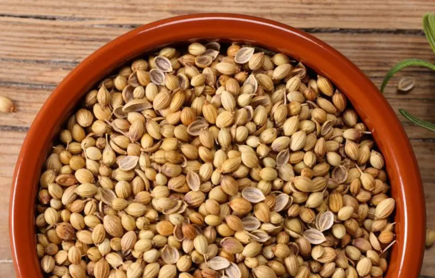 Türkiye'de Isparta ve Konya'da yetişiyor: Değerini en çok Meksikalılar biliyor! Karaciğerde toksin bırakmayan besin 1