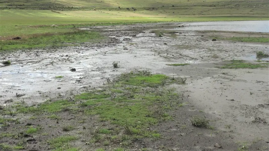 Çıldır Gölü'nde de sular çekildi 4