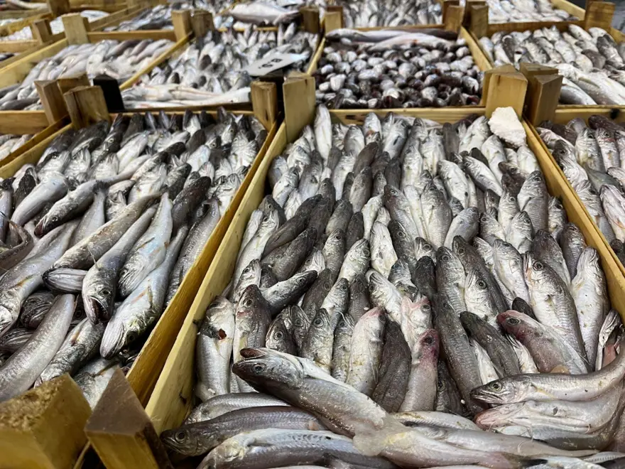 ''ÖĞRENMEK İSTEMİYORLAR'' 5